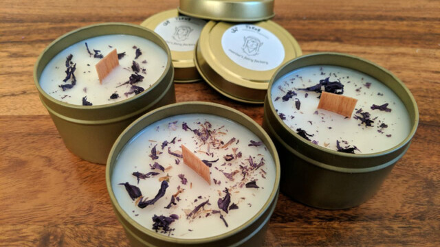 Zypresse, Lavendel, Grapefruit, Zitrone, Malvenblüten Lichtessenz für Fokus, Konzentration und Lernen